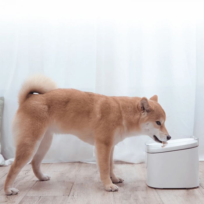 XIAOMI SMART PET WATER FOUNTAIN